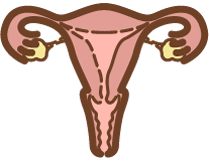 Hormone Doctor Berkeley