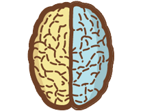 Neurological Health & Brain Injury