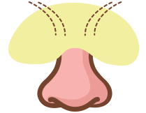 Sinus Doctor Bay Area