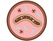 Infectious and Chronic Diseases